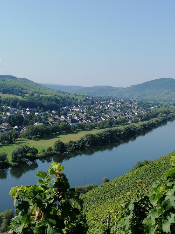 Weingut Licht-Stadtfeld Браунеберг Екстериор снимка